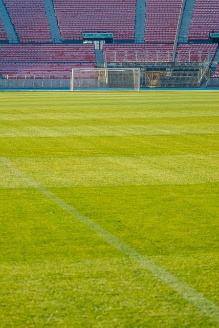 苏超的